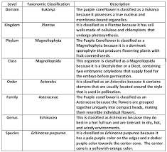 Classification