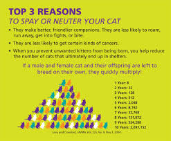 Please check with the individual clinic for complete pricing details. Spay Neuter