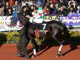 Andrasch Starke: German jockey (1974-) | Biography, Facts, Career, Wiki,  Life