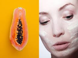 Beauty Journal — Seed & Rind