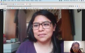 Reflexionan docentes del IIE sobre desafíos del trabajo académico en  tiempos de confinamiento