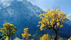 Click the choose files button to select your files. Nature Wallpapers 32 Free Jpg Png 1023461 Png Images Pngio
