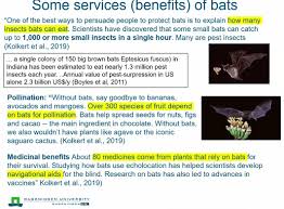 If a bat is large and has strong jaws, long canine teeth, and a large tail membrane, it how do the habits and habitats of these birds compare with those of bats? Berlin Bat Meeting 2021 On Twitter Some Of The Benefits Of Bats By Rudolf De Groot 6thibbm