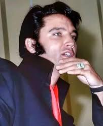 Elvis's Kindness and Life Stories