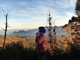 Hawa Dingin Bersama Hembusan Angin Dengan Hangatnya Sinar Mentari Beserta Nyanyian Monyet Pagi Itu Kumerindu Selamat Natural Landmarks Landmarks Travel
