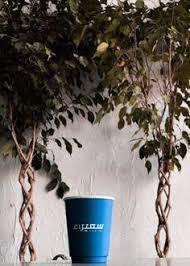 بيرو قهوة مختصة planter pots planters pot