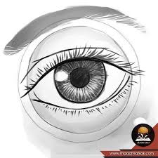 كيف ترسم عين انسان How To Draw Eyes Eye Drawing Human Eye Drawings