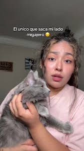 La deliciosa comida salvadoreña que le encanta al chele