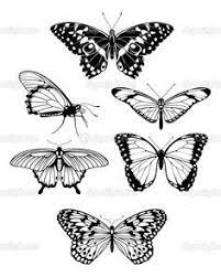 Pinterest Circle Tattoos Butterfly Tattoos And Tattoos And Body Art Butterfly Outline Butterfly Tattoo Butterfly Tattoo Designs