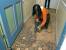 Tile Flooring Installation