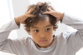 Do lice like clean hair or dirty hair? Lice Only Like Clean Hair And Other Headlice Myths Busted Madeformums