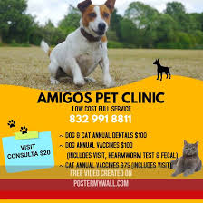 ¡tu pequeña clínica veterinaria está repleta de mascotas enfermas a las que curar! Amigos Pet Clinic Home Facebook
