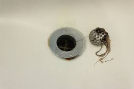 shower drain cleaner
