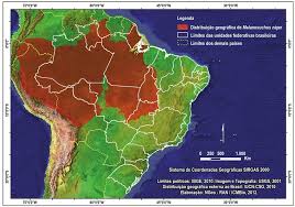 Ronaldo souza dos santos (born december 7, 1979), nicknamed jacaré (portuguese pronunciation: Distribuicao Geografica Do Jacare Acu Melanosuchus Niger Download Scientific Diagram