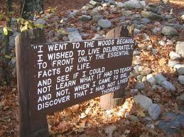 Thoreau Quotes Marrow Quotesgram