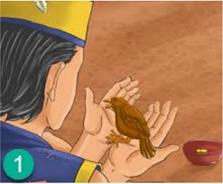 Gambar tangan disini maksudnya gambar yang dilukis dengan tangan atau. 5 Gambar Yang Menceritakan Dongeng Petani Yang Baik Hati