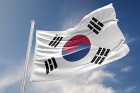 They contain a variety of investments, and the returns are based on how that mix does. South Korea Etf A Buy The Dip Opportunity