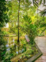 Der botanische garten in berlin ist der größte botanische garten deutschlands. Okologisch Botanischer Garten Der Universitat Bayreuth