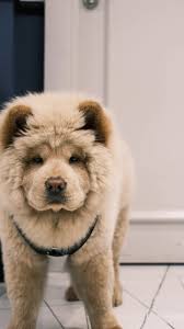 📅 New week, new haircuts! , #cutlabs #haircut #newweek