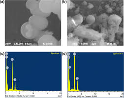 We did not find results for: A B Scanning Electron Microscopy And C D Energy Dispersive Download Scientific Diagram