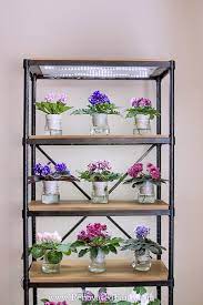 Maybe you would like to learn more about one of these? The Easiest Diy Grow Light Stand For Indoor Plants With Video Tutorial