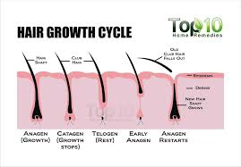 Massaging coconut milk into your scalp can help you regrow your hair. Home Remedies For Hair Growth Top 10 Home Remedies