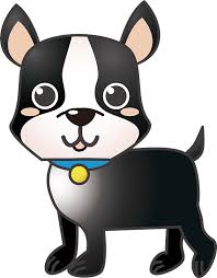 Boston terrier stock photos and images. Boston Terrier Dog Clipart Free Download Transparent Png Creazilla