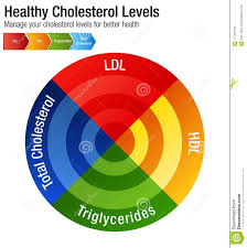 Total Blood Cholesterol Hdl Ldl Triglycerides Chart Stock