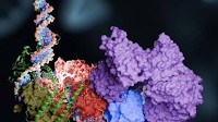 Summit Supercomputer Draws Molecular Blueprint for Repairing Damaged DNA