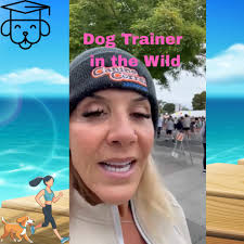 Happy Tails to You Dog Training