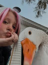 Pet Goose Introduction and Behavior