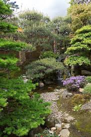 Sievert Pines Japanese Garden Japanese Garden Plants Japanese Garden Design