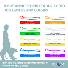 Look up the meaning of the word in the dictionary. The Meaning Behind Colour Coded Dog Leashes Collars Pets Plus Us Dog Quotes Dog Quotes Funny Pets