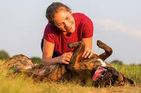 It seems to happen every night with him. Dog Hiccups Why They Happen And How To Handle Them