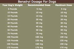 How Much Benadryl Can I Give My Dog Before Harming Them Benadryl For Dogs Dosage Benadryl Dosage Stuffy Nose Remedy