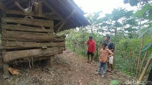Zhang jatuh ke dalam kandang dan langsung diterkam. Kandang Macan Home Facebook Cute766