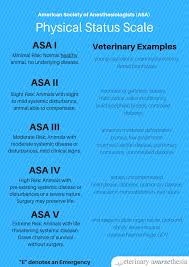 Image result for ASA Physical Status Classification System