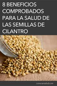 8 Beneficios Comprobados Para La Salud De Las Semillas De Cilantro Salud Food Medicinal Plants Veggies