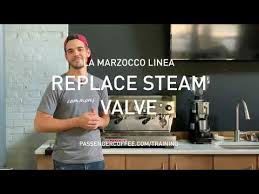 Check spelling or type a new query. Steam Valve Replacement On La Marzocco Linea Espresso Machine Youtube