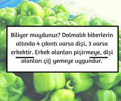 Sule Zar Adli Kullanicinin Puf Noktasi Panosundaki Pin Saglik Saglikli Yasam Biliyor Muydunuz