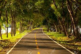 Check spelling or type a new query. Road With Trees On Both Sides Vanishing Around A Bend Stock Photo Picture And Royalty Free Image Image 97594758