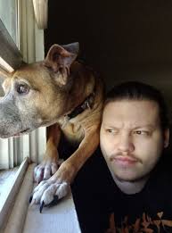 what do my dog and i see out of the window?