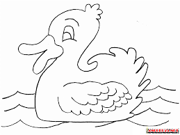 Tp.hcm phát hiện thêm 2 ổ dịch mới ở quận 1 và quận 5, còn hơn 7.200 mẫu chưa có kết quả. Hinh Con Vá»‹t To Mau