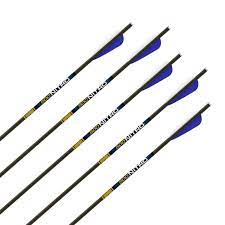 Great prices on allen cases, barnett, carbon express / eastman, easton outdoors, escalade sports, excalibur, gold tip, muddy outdoors, sa sports outdoor gear, tenpoint crossbow technologies and more! Crossbow Bolts Goldtip Nitro Laser Iv Carbon 12 22 9 27