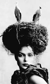 White Bird With Crazy Hair Pin By Tatiana Noele On Una Ciliegia Tira L Altra Bird Nest Hair Fancy Hats Crazy Hats