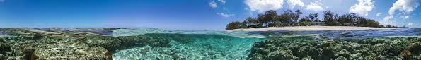 Raffle for Rare: Win a Lady Elliot Island Escape - Image 1