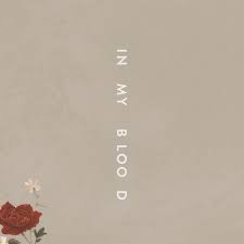 3:31 i don't own anything. Song News Shawn Mendes Prasentiert Neues Video Zu In My Blood Magdeburger News Das Nachrichtenportal News Rund Um Magdeburg