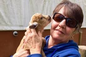 Fundraiser for Jeff Vogt by Joe Vogt : Beverly Vogt Memorial Fund