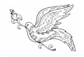 Anda bisa menggunakan gambar hewan burung hitam putih untuk background atau wallpaper desktop tablet android atau iphone dan semua jenis smartphone anda secara gratis. 99 Sketsa Gambar Burung Cendrawasih Yang Mudah Terbaru Gambar Hewan