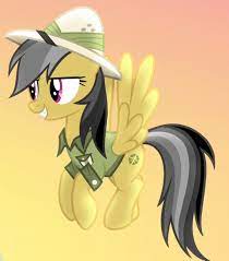 Daring Do Little Pony Pony My Little Pony Friendship